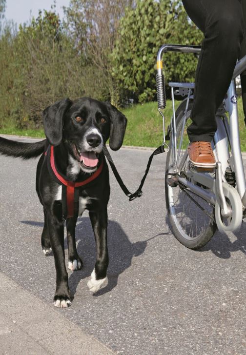 Поводок для собак с креплением к велосипеду