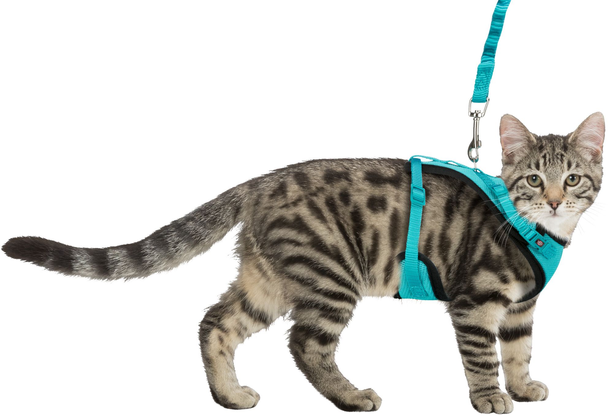 Шлейка с поводком, для кошки заказать онлайн, опт и розница. TRIXIE,  FLAMINGO, FLEXI — официальный поставщик в России