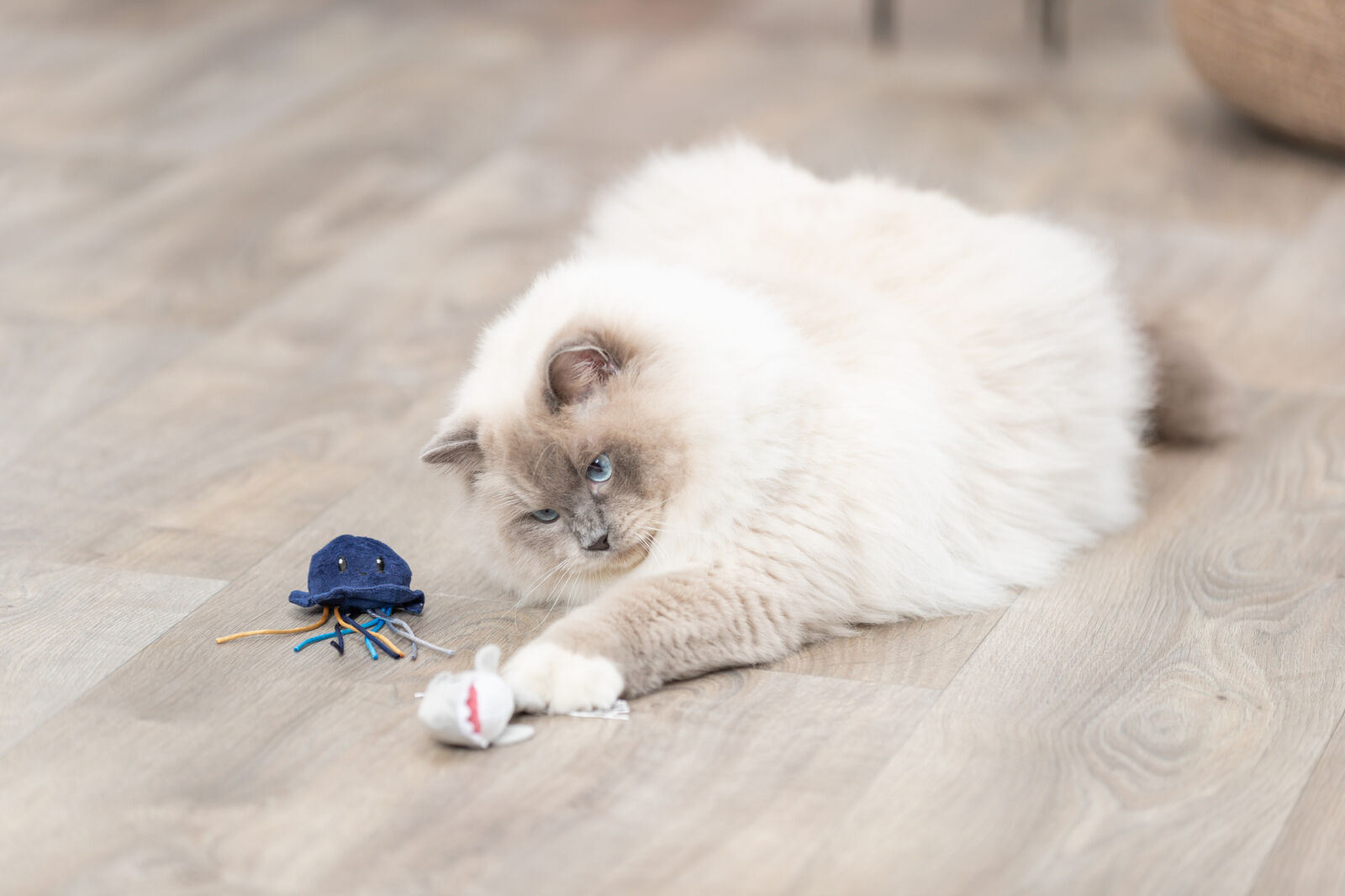 Игрушка для кошки 