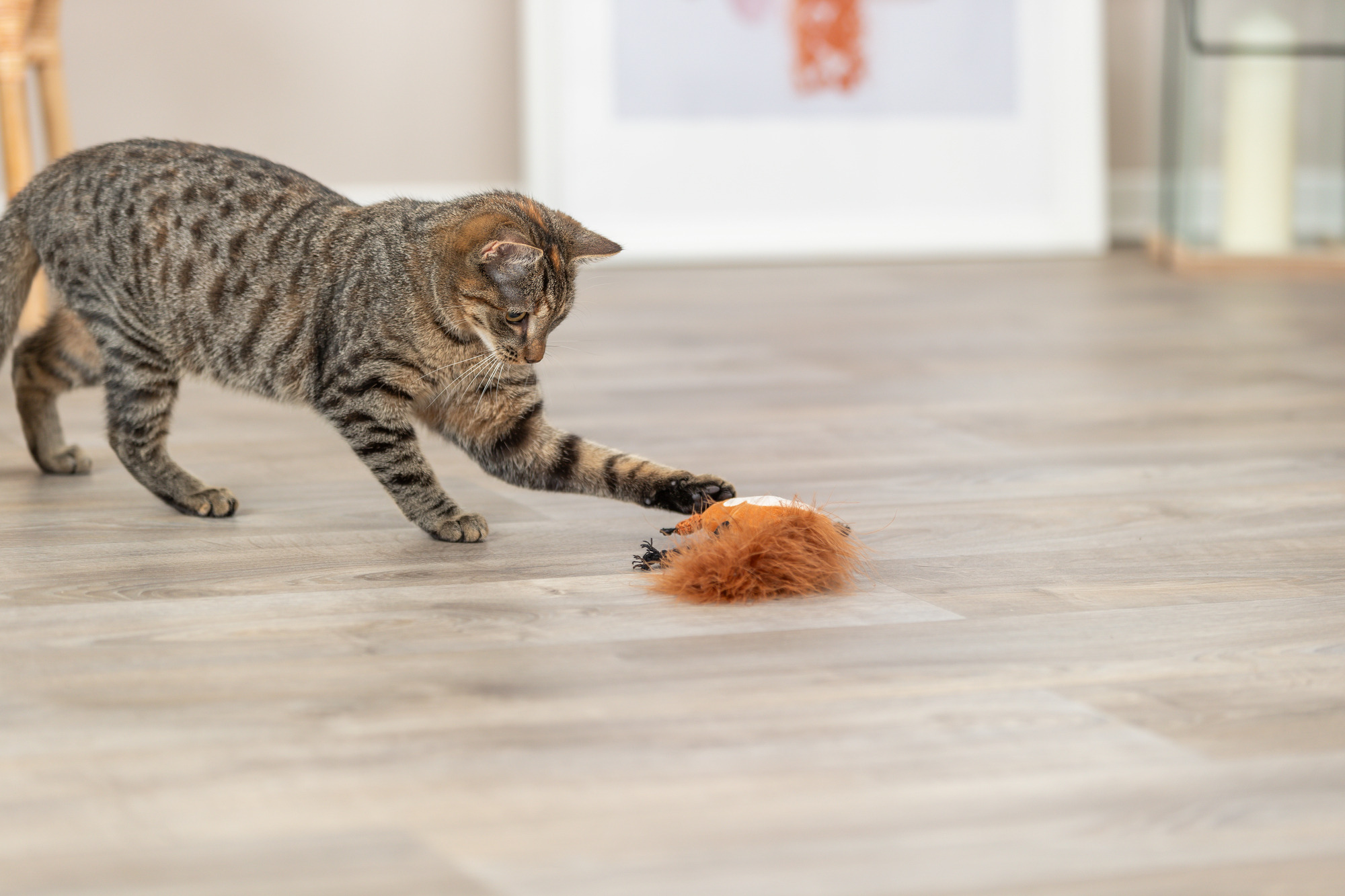 Игрушка для кошек 