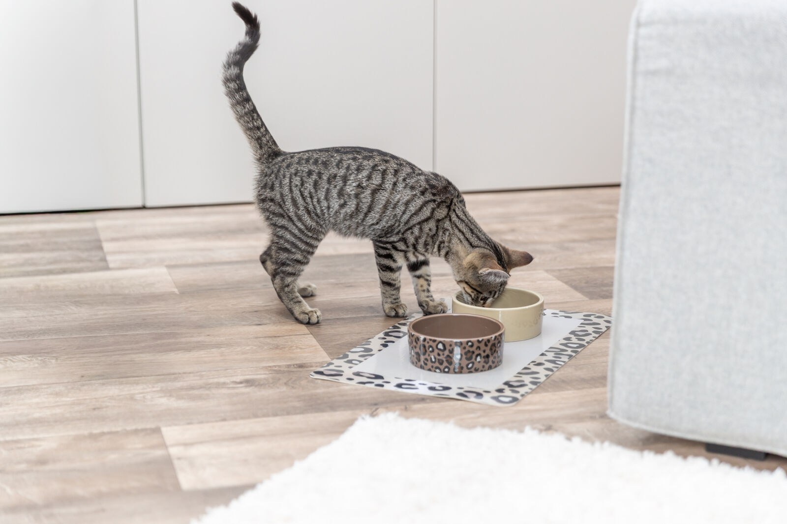 Миска керамическая Leo, в ассортименте