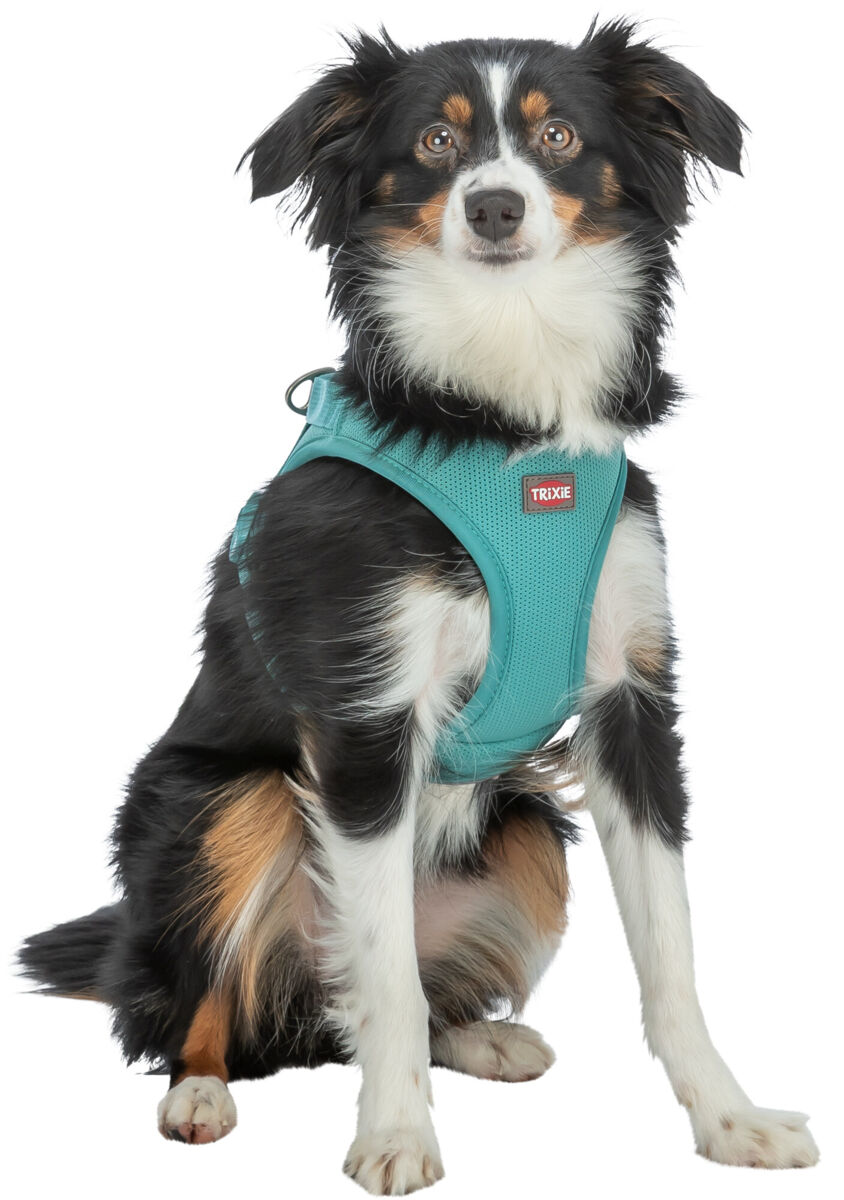 Шлейка UrbanVest harness