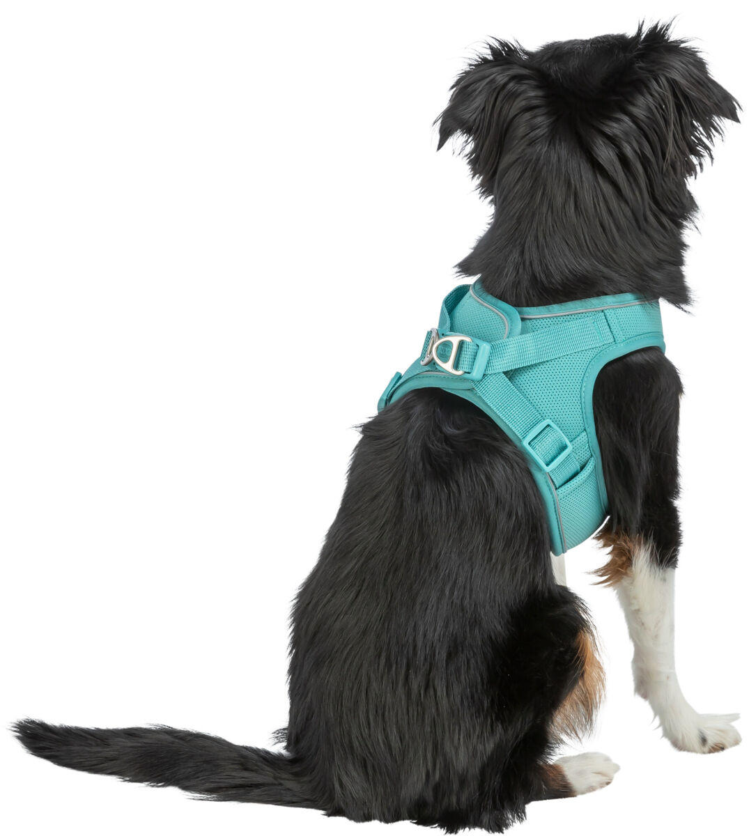 Шлейка UrbanVest harness