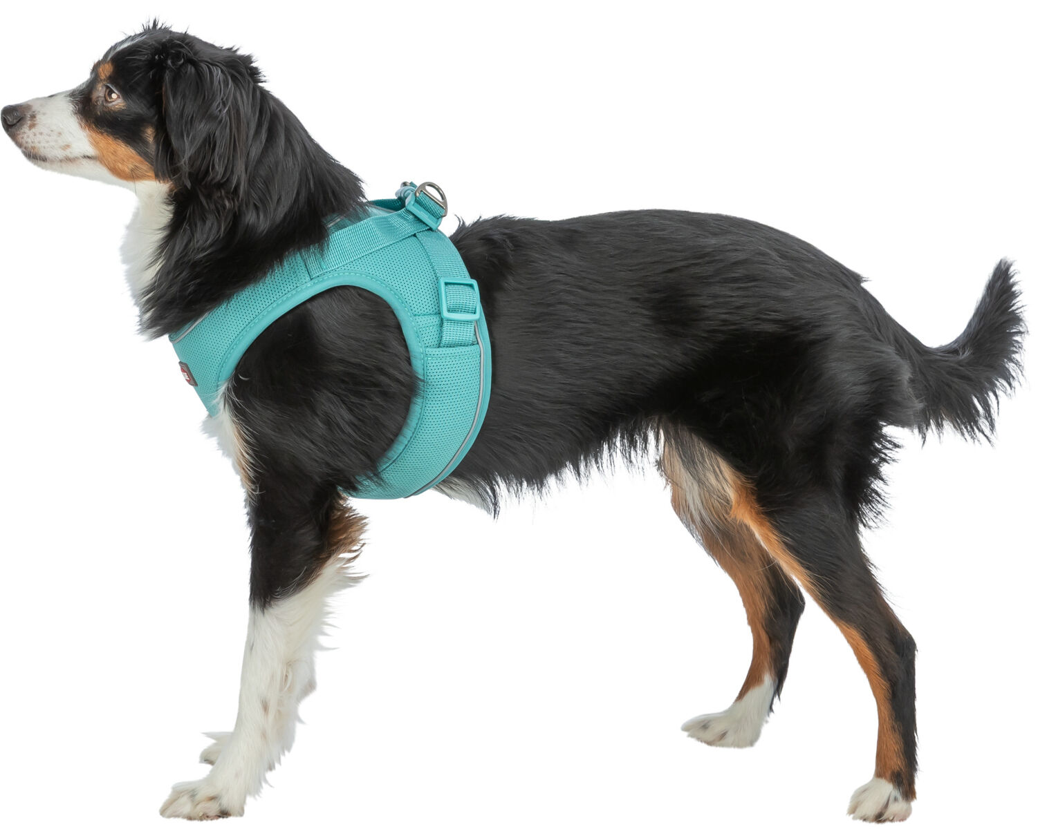 Шлейка UrbanVest harness