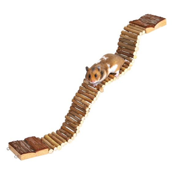 6221